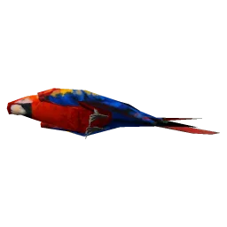 TheParrot2