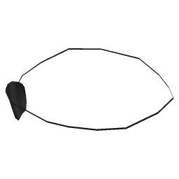 EyePatch1