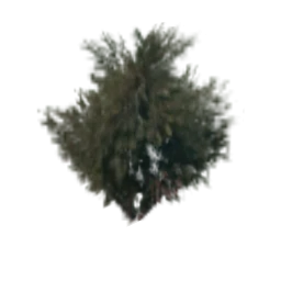 GrassClump3