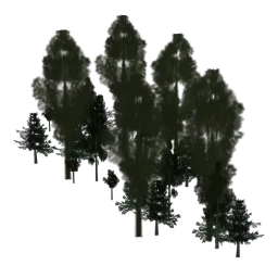 LODsopki_mainles05
