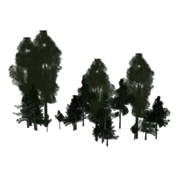 LODsopki_mainles23