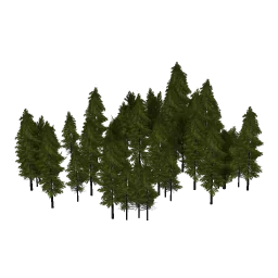 new_coast_les18