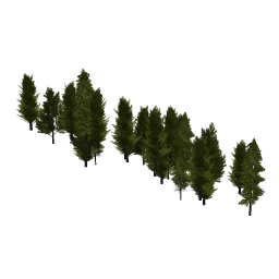 BorBeachVeg_01