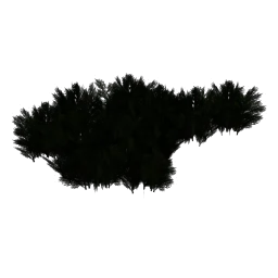 LODryz_bigfst11