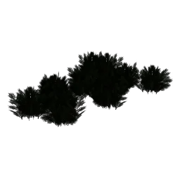 LODryz_bigfst27