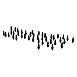 LODryz_pplr01