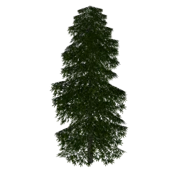 elka1