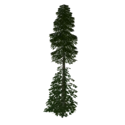 elka2
