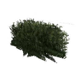 shrub_kust3