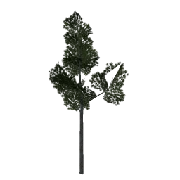 pine_elka3