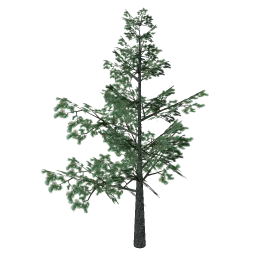 pine_elka4