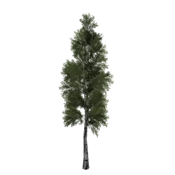 paper_derevo1