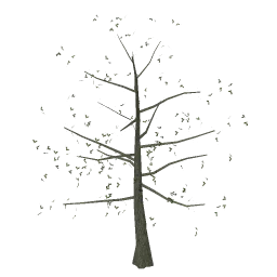 oak_tree2