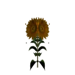 flowers3