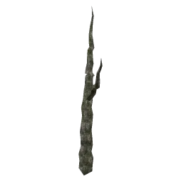 olivetree