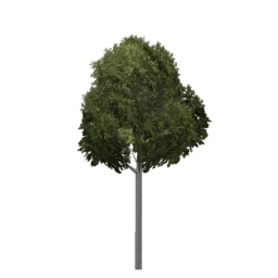 sm_bevhiltree