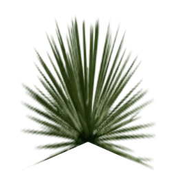 sm_des_agave1