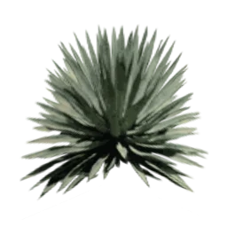 sm_des_agave2