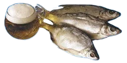13kardon_fish3