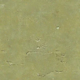 pansionat3