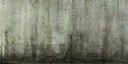 pod_roof_2