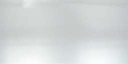 animrec2