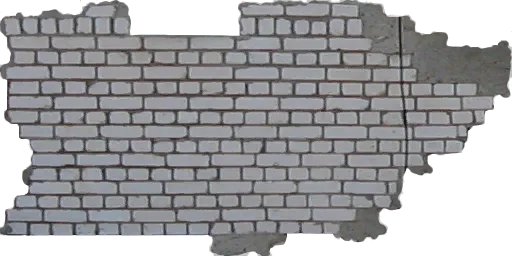 ins