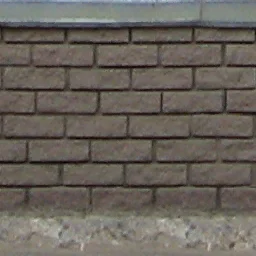tsokol_1