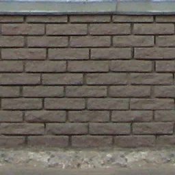 tsokol_2