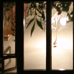 window31