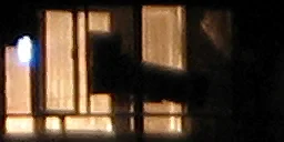 windowb3