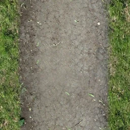 park_road1