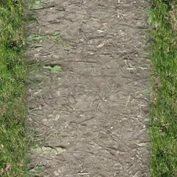 park_road3