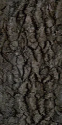 083ca951