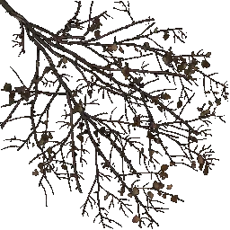 0e87167d