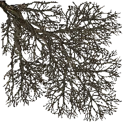 0ef26593