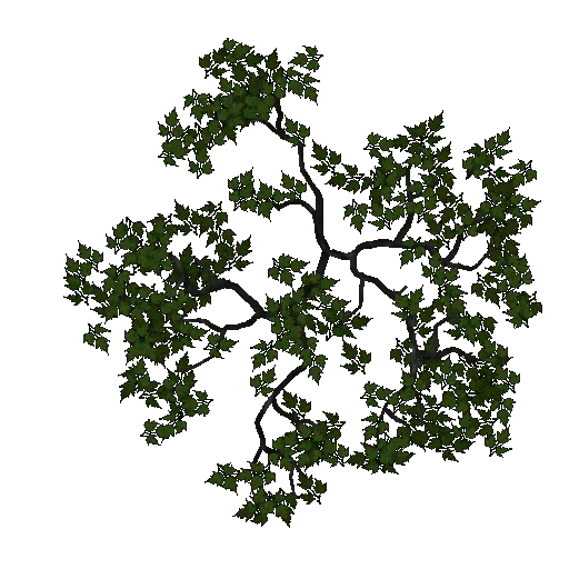 bg-tree003leavesarecol