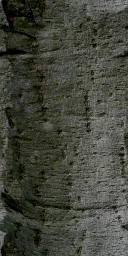 galder1
