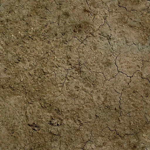 drydirt