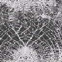 screendam