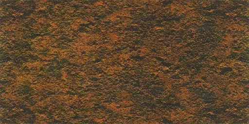 rjav2