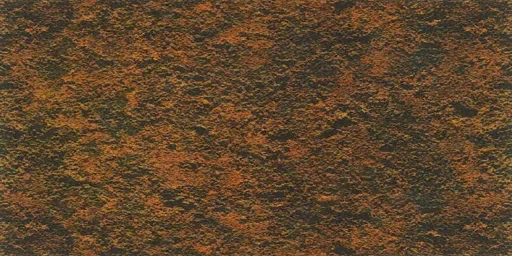 rjav2