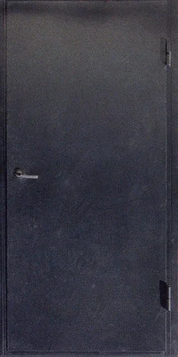 bat_f_vhod