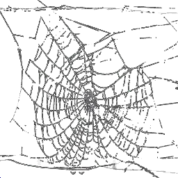 glass