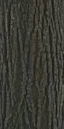 lindenbrk