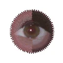 nadinhead2010_left_eye