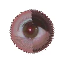 nadinhead2010_right_eye