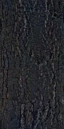balderbrk