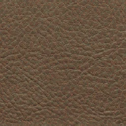 kozha