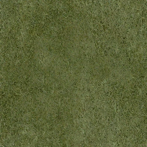ruscount_grass